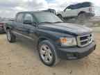 2010 DODGE Dakota