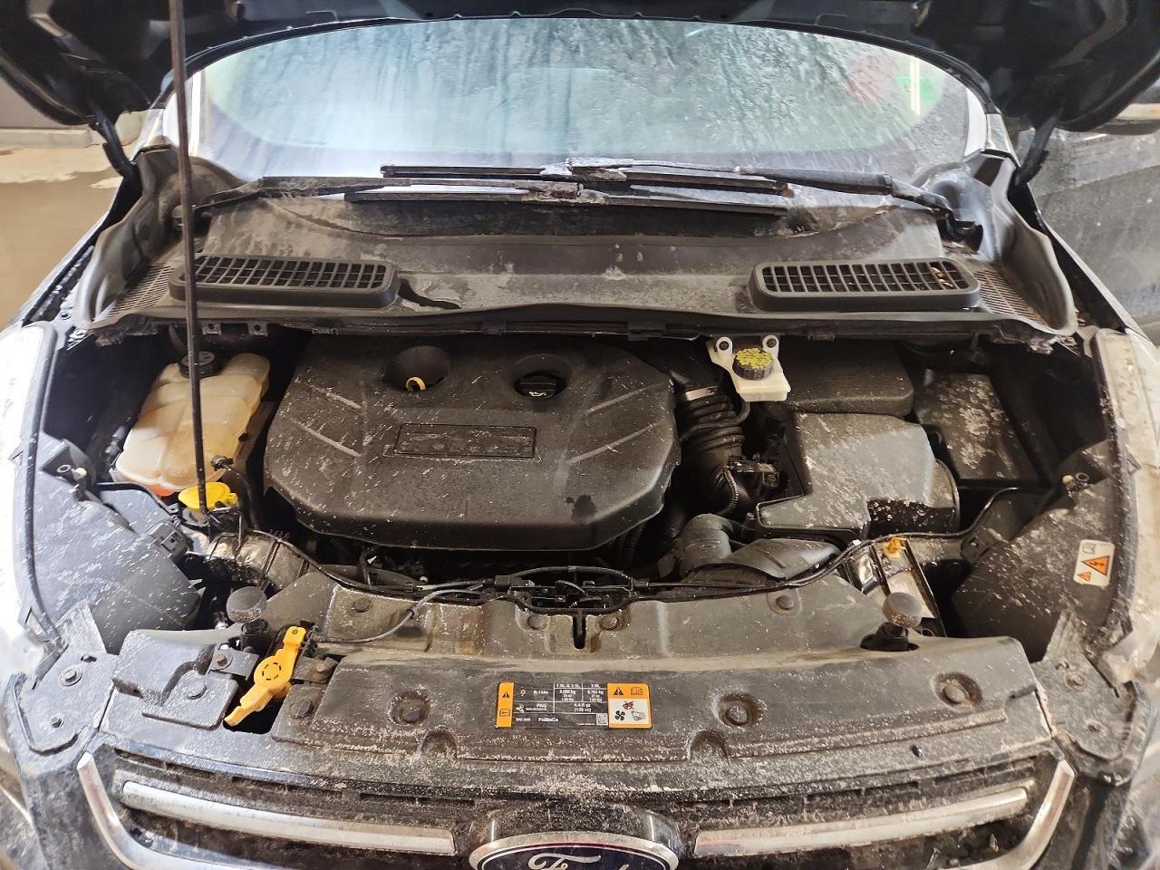 2013 FORD ESCAPE