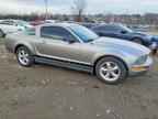 2009 FORD MUSTANG