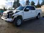 2010 FORD F-150 Lightning