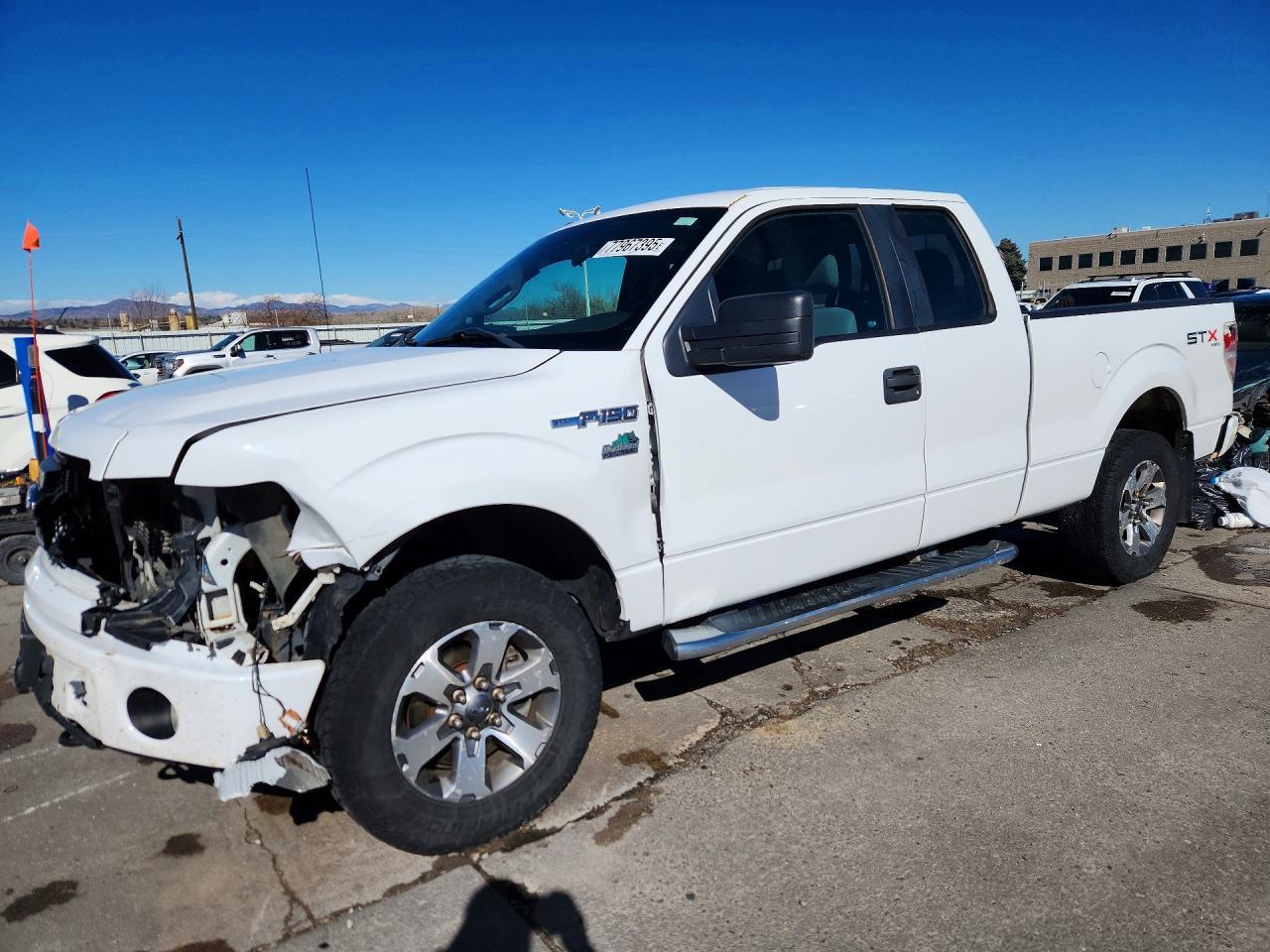 2013 FORD F-150