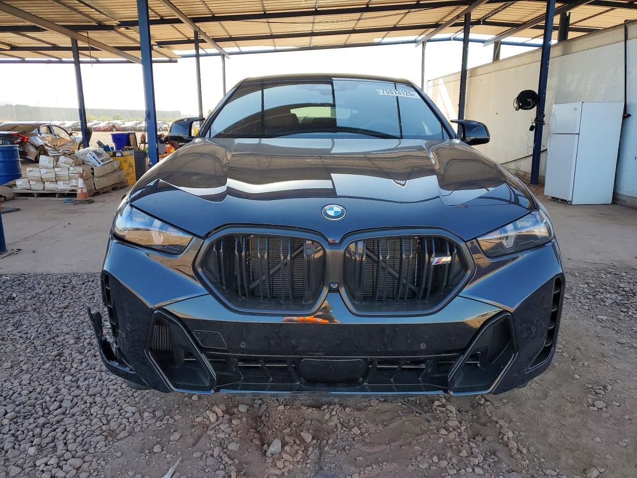 2026 BMW X6