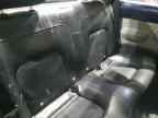 2004 VOLKSWAGEN Beetle
