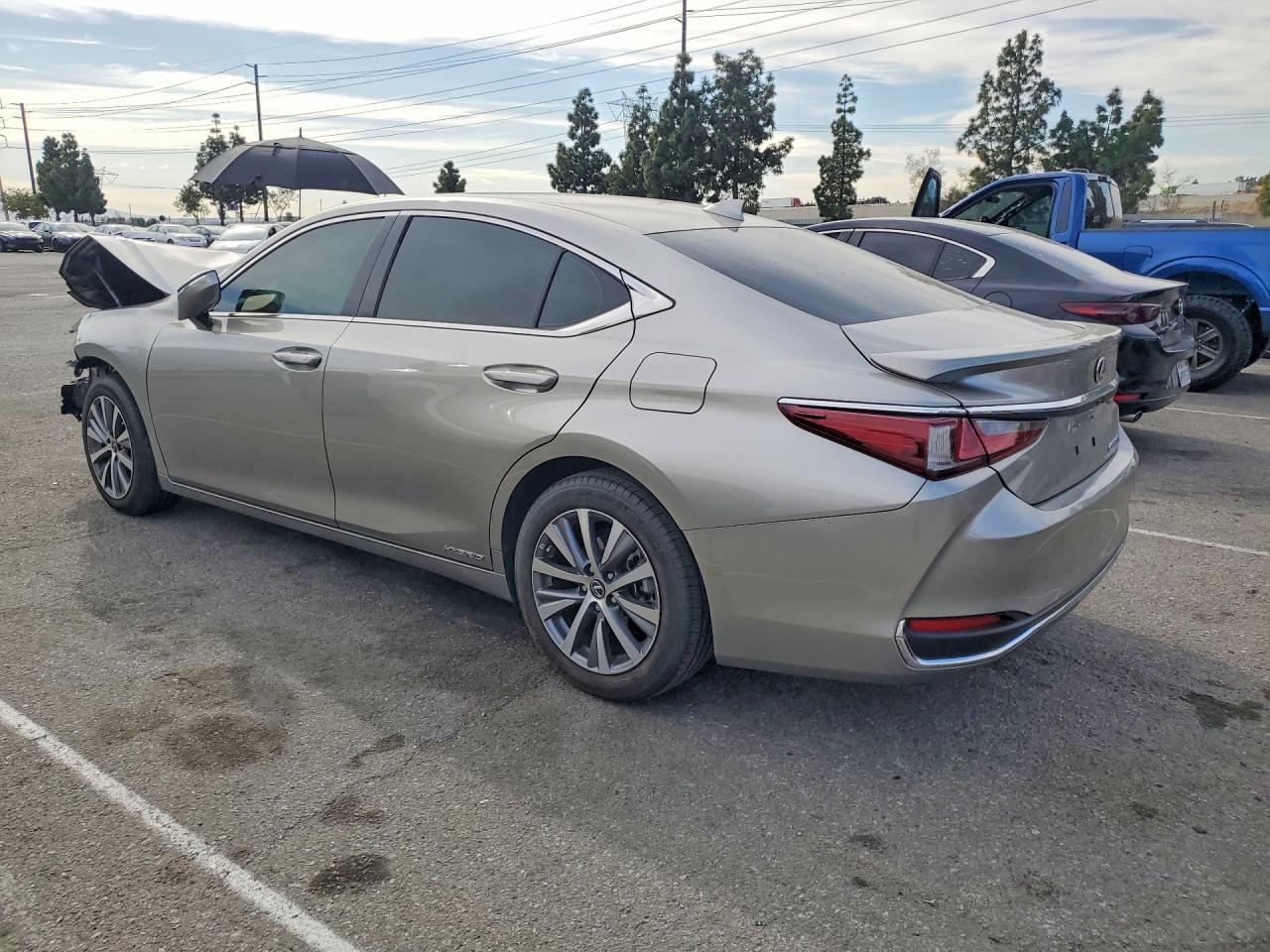 2020 LEXUS ES 300H