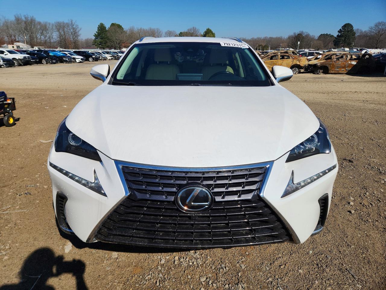2019 LEXUS NX 300