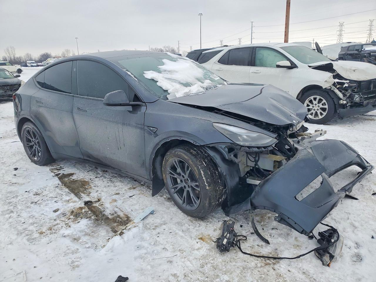 2025 TESLA MODEL Y