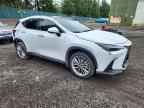2026 LEXUS NX 350