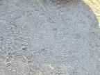 2002 MERCURY Grand Marq