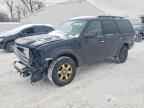 2010 FORD Expedition