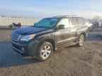2013 LEXUS GX 460