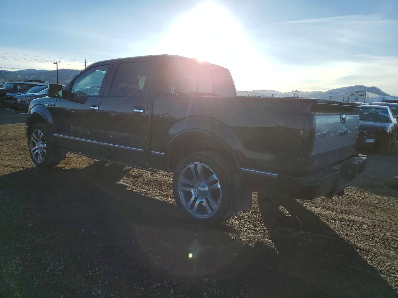 2010 FORD F-150 Lightning
