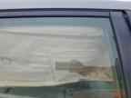 2010 HONDA Insight