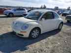 2008 VOLKSWAGEN Beetle