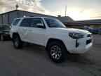 2023 TOYOTA 4Runner