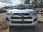 2024 TOYOTA 4Runner