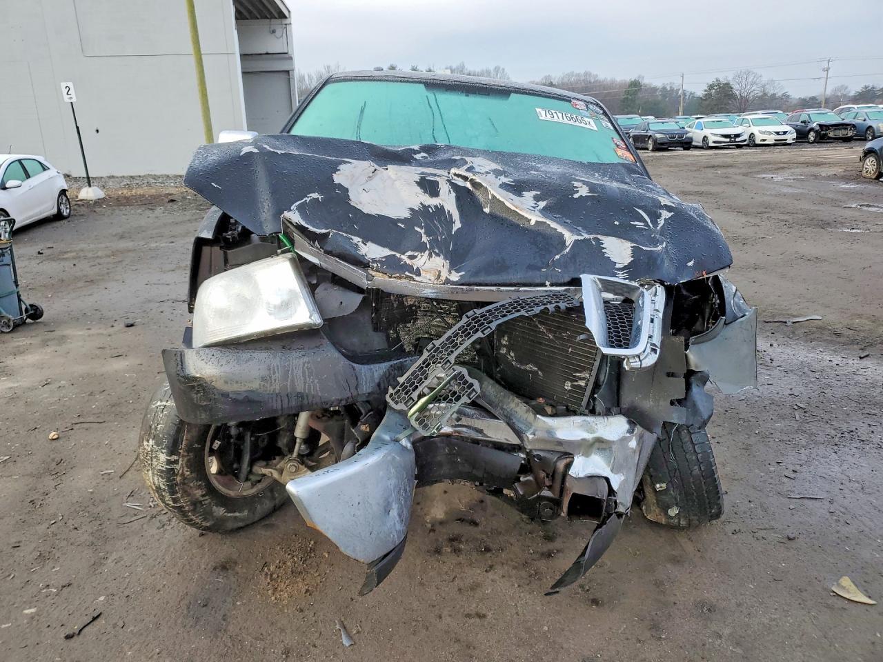 2007 FORD F-150 Lightning