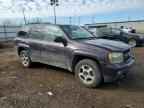 2009 CHEVROLET Trailblazer