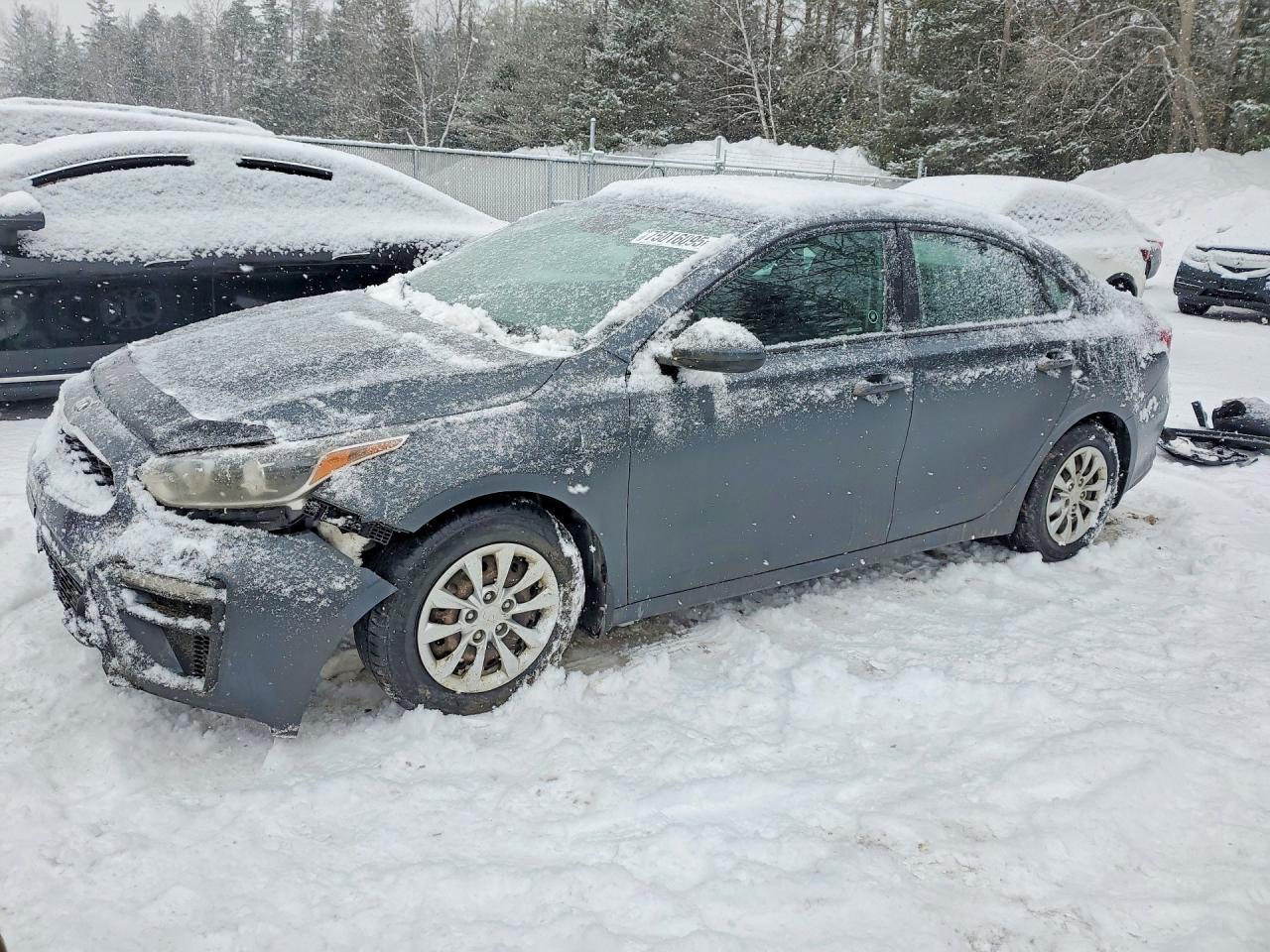 2019 KIA FORTE