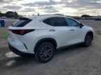 2024 LEXUS NX 350