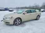 2010 CHEVROLET MALIBU