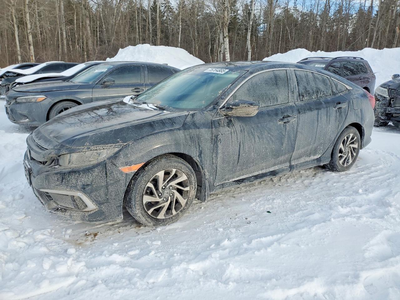 2019 HONDA CIVIC