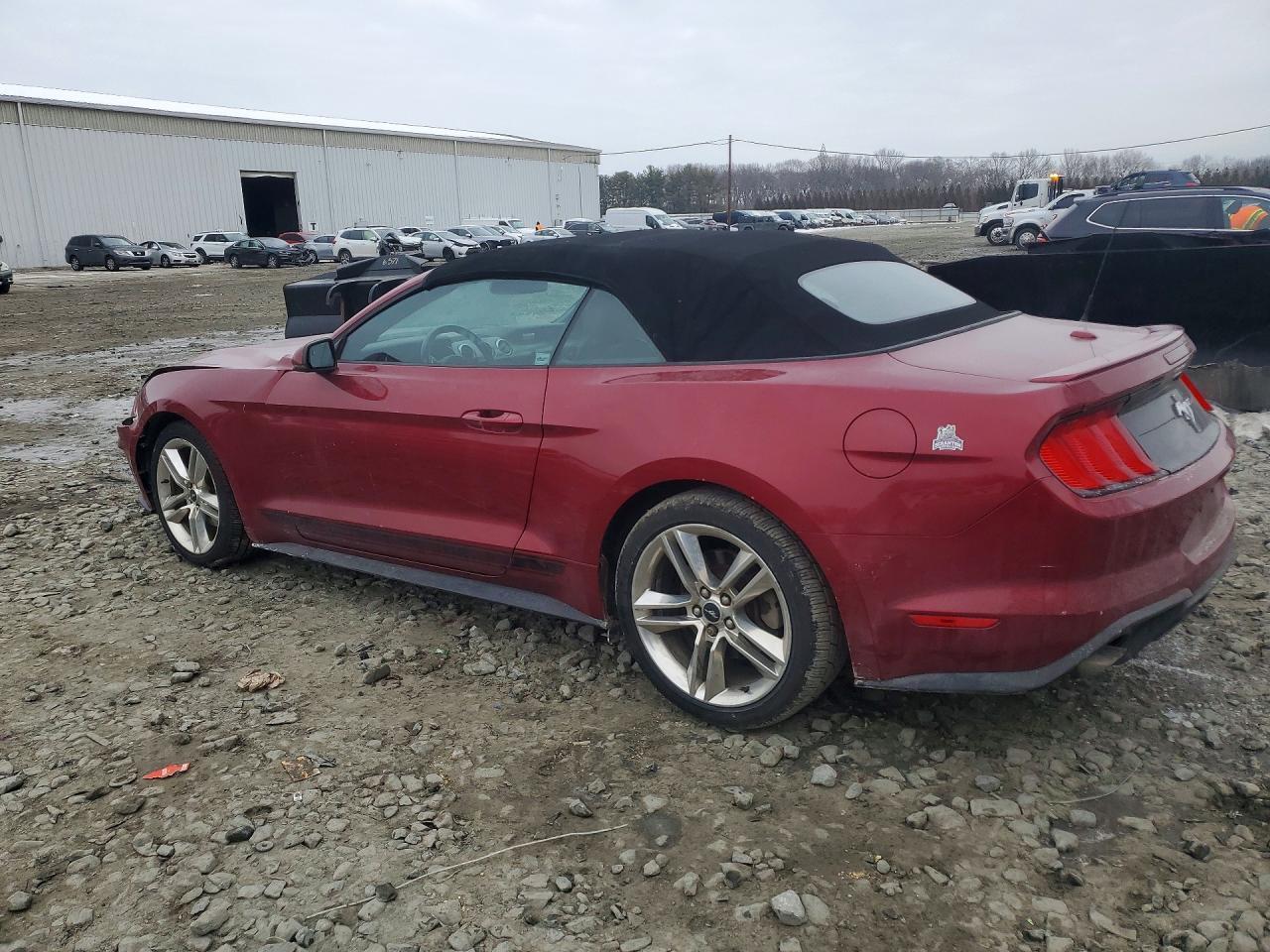 2019 FORD MUSTANG