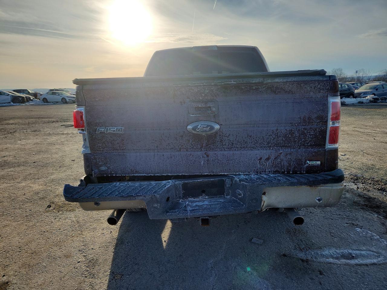 2010 FORD F-150