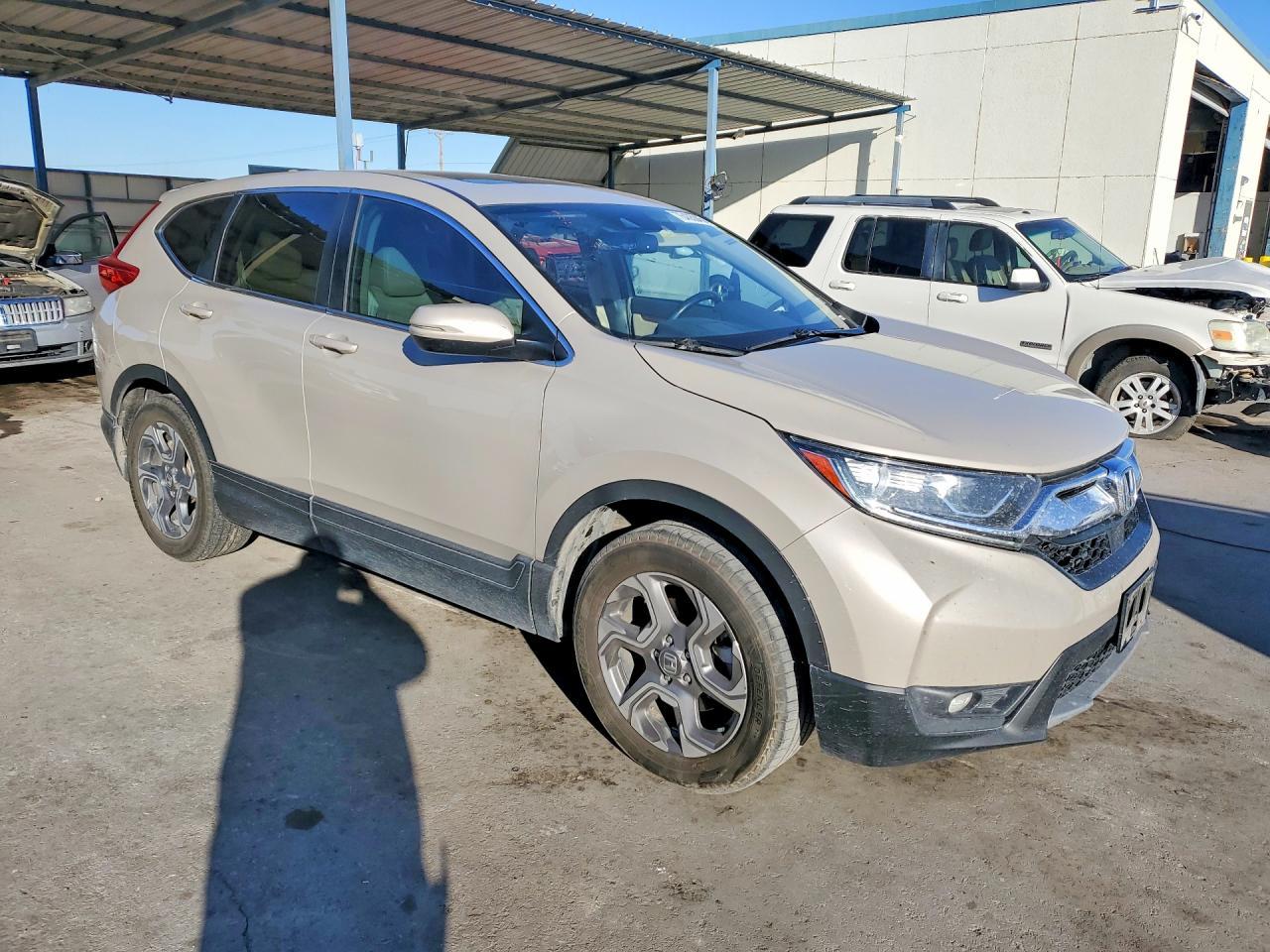 2019 HONDA CR-V
