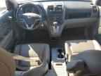 2010 HONDA CR-V