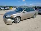 2004 TOYOTA CAMRY