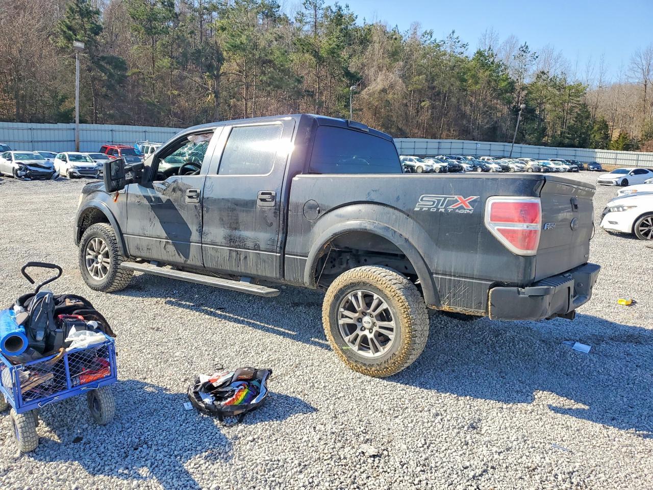2014 FORD F-150