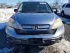 2007 HONDA CR-V