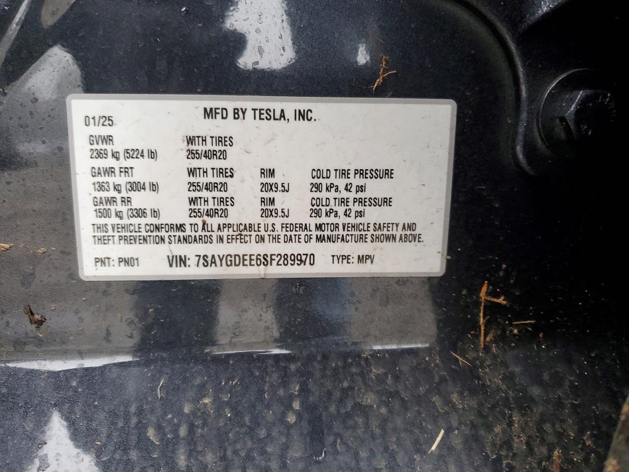 2025 TESLA MODEL Y