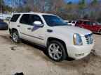 2010 CADILLAC ESCALADE