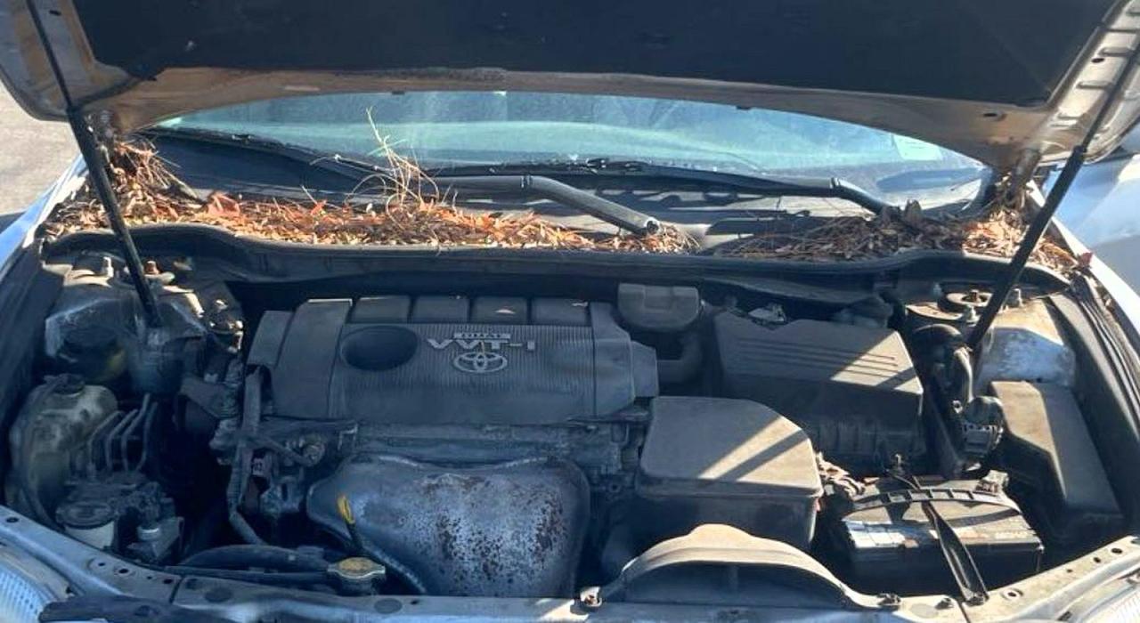 2008 TOYOTA CAMRY