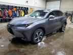2019 LEXUS NX 300