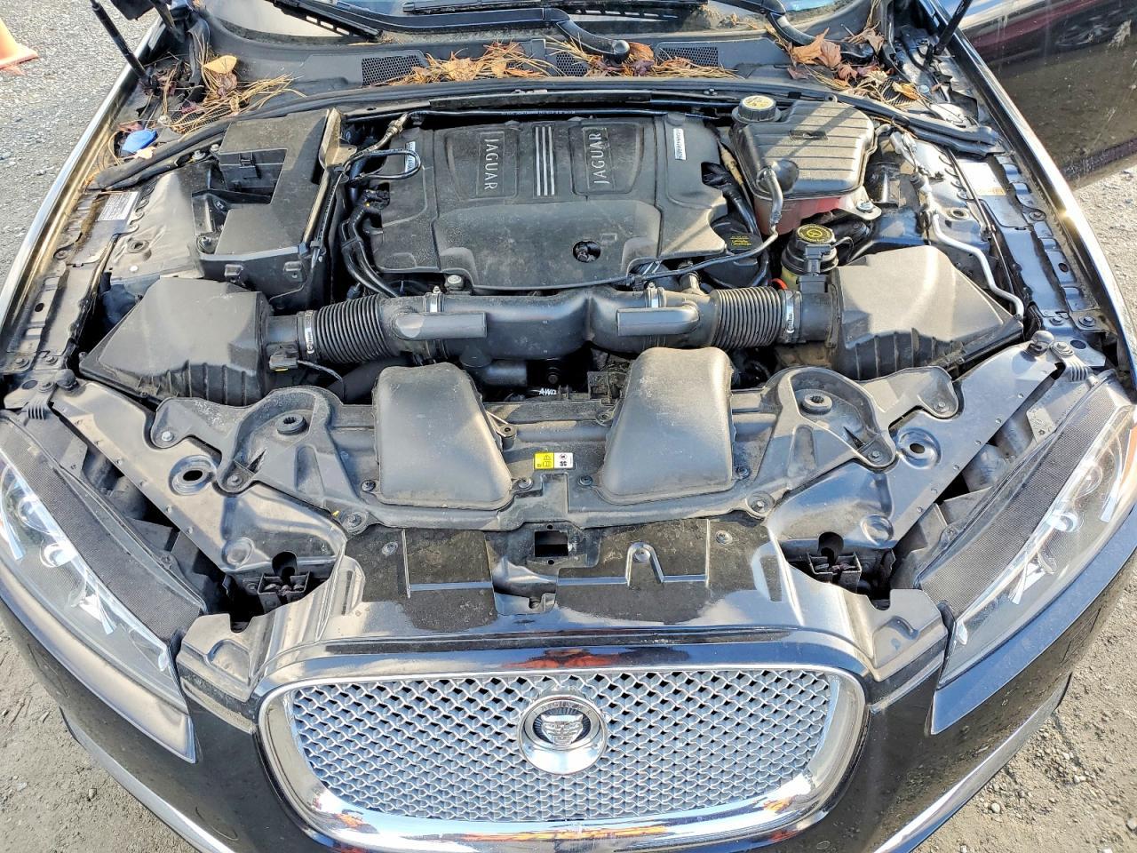2013 JAGUAR XF