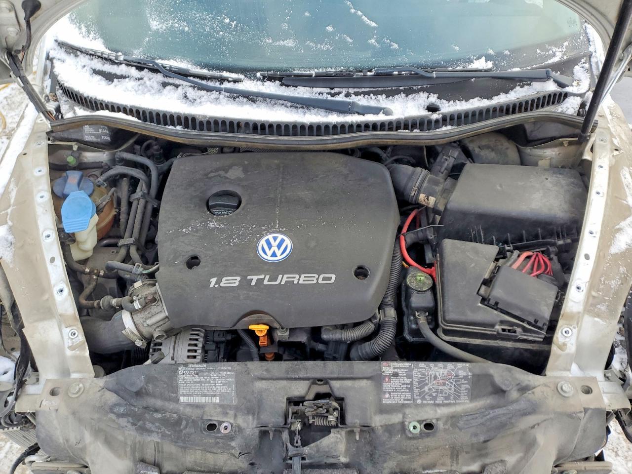 2000 VOLKSWAGEN Beetle