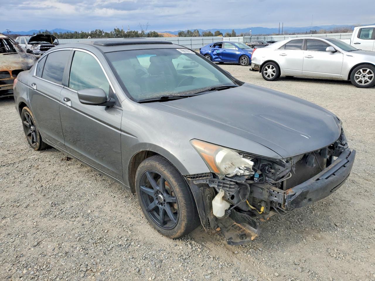 2010 HONDA ACCORD