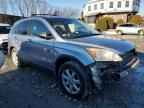 2007 HONDA CR-V