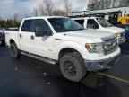 2014 FORD F-150 Lightning