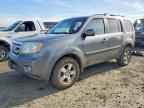 2011 HONDA PILOT