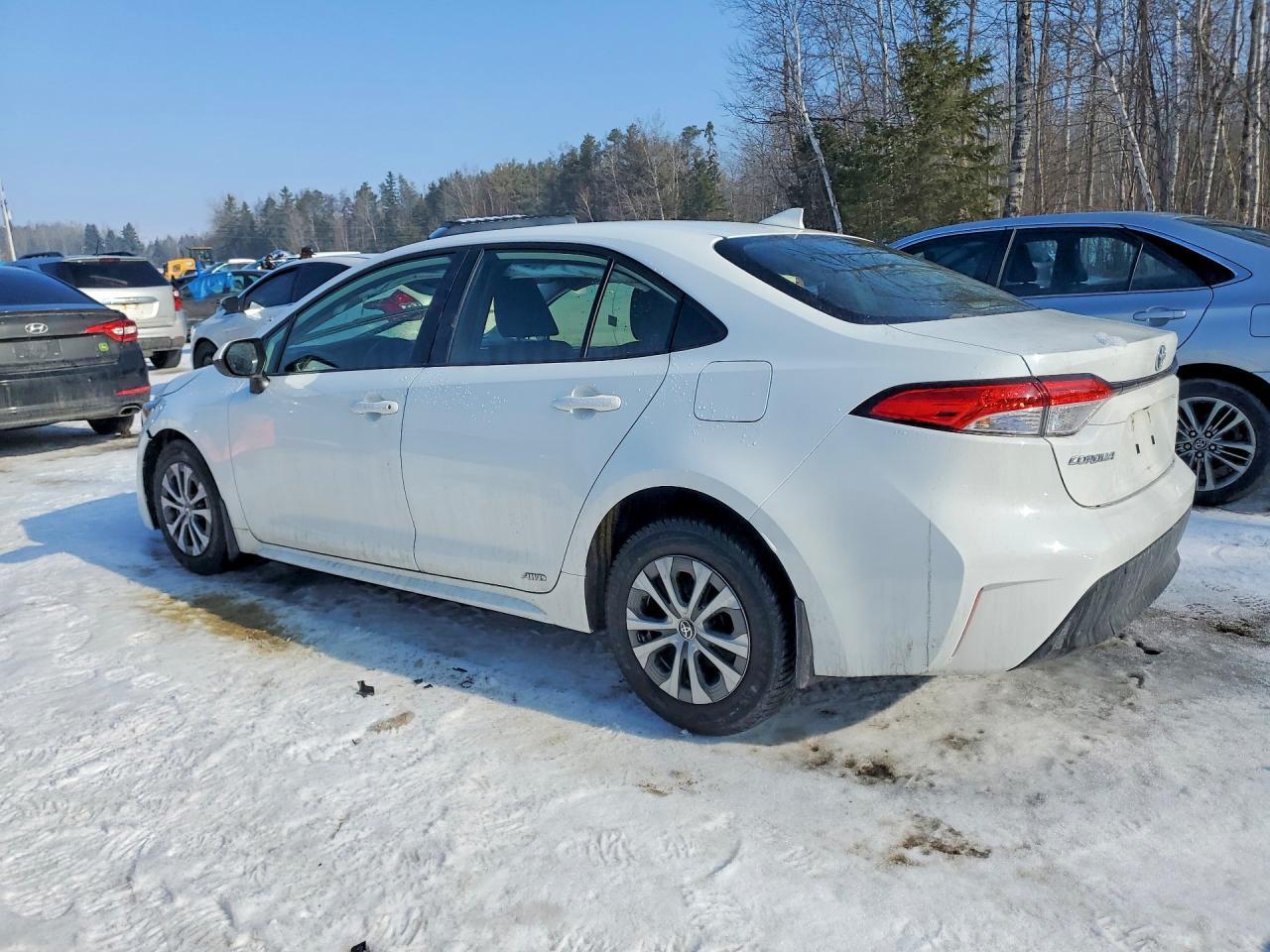 2024 TOYOTA COROLLA