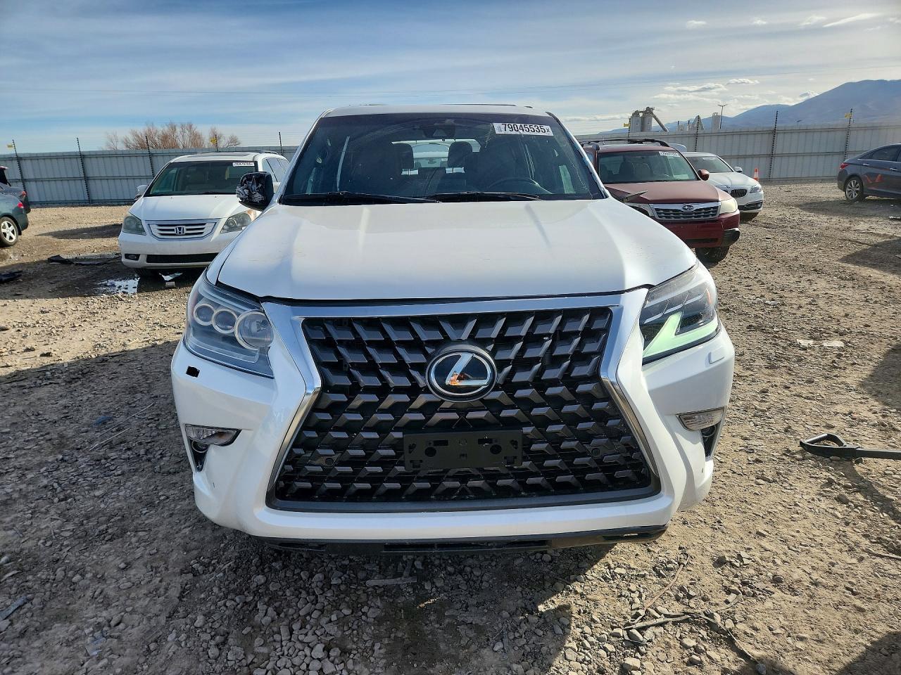 2022 LEXUS GX 460