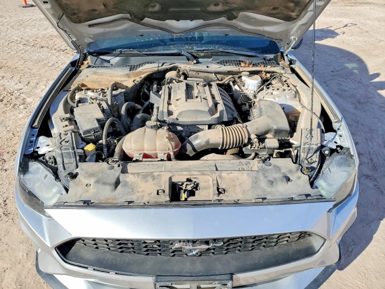 2019 FORD MUSTANG