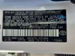 2023 TOYOTA CAMRY