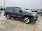 2019 LEXUS GX 460