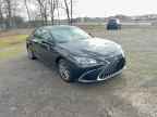 2023 LEXUS ES 350