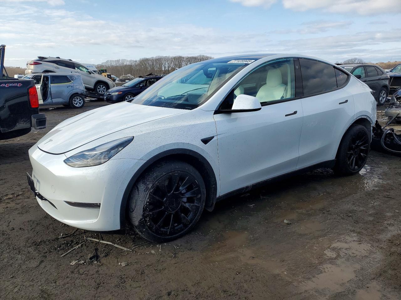 2021 TESLA MODEL Y