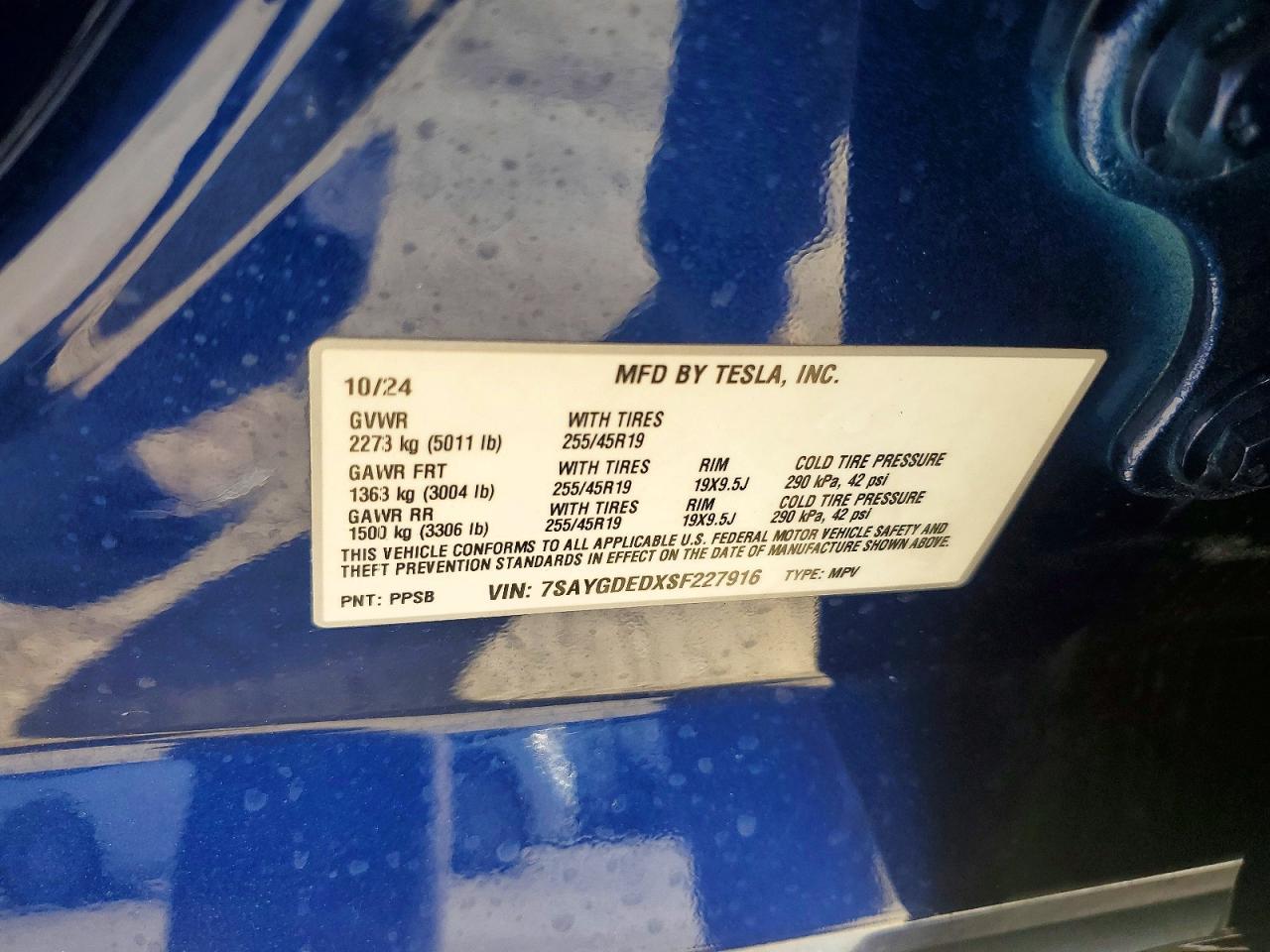 2025 TESLA MODEL Y